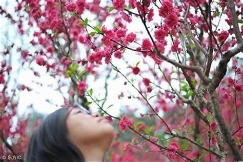 桃花劫面相男|男人桃花劫的身体表现男人桃花劫怎么化解